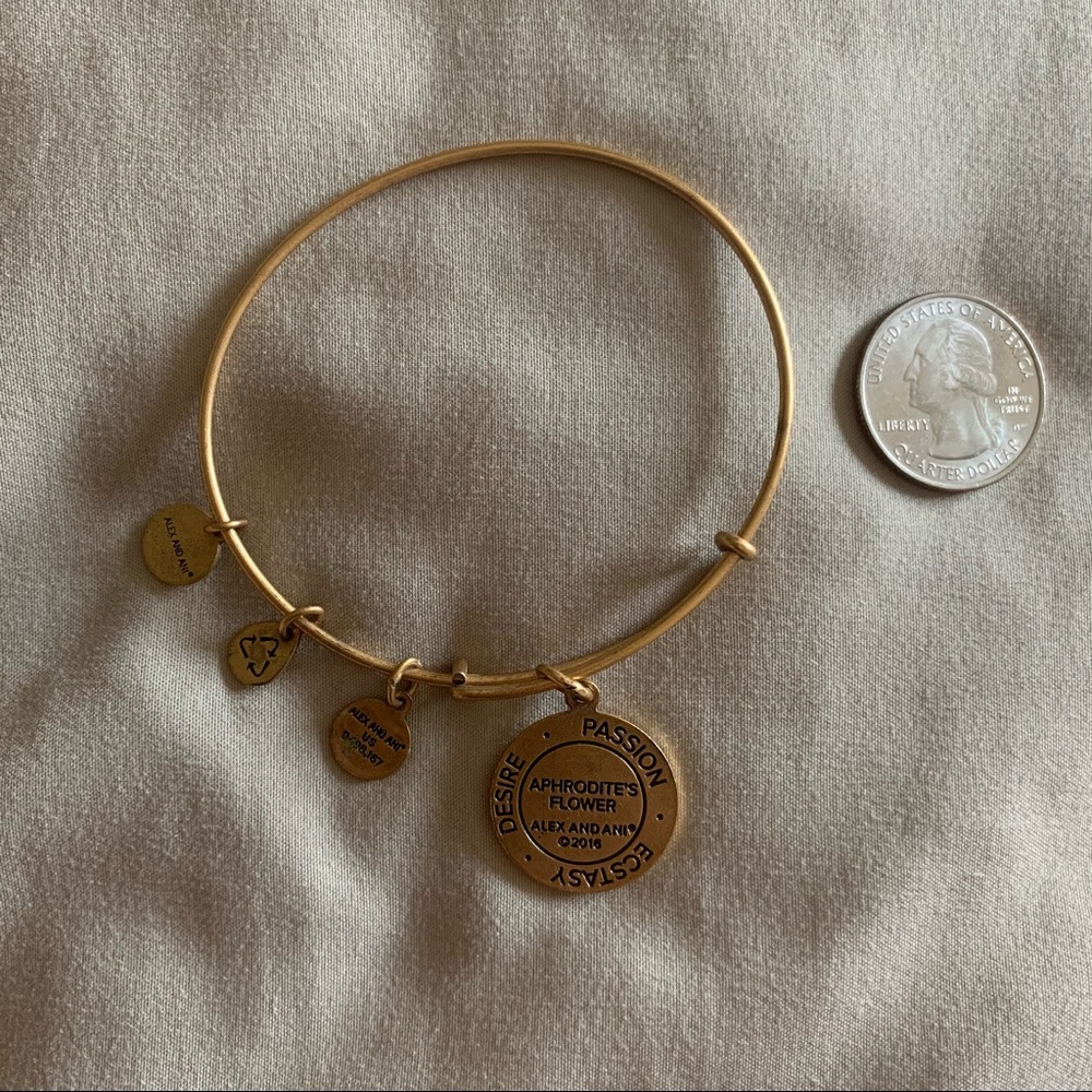 Alex & Ani bangle - Picture 4 of 5
